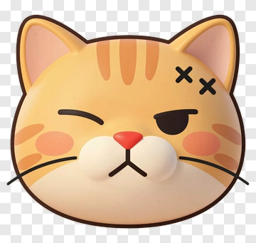 Cartoon Cat Face With Expression PNG