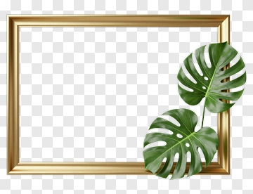 Gold Frame With Monstera Leaves PNG