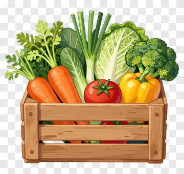 Vegetable Basket With Carrots, Broccoli, And Tomatoes PNG