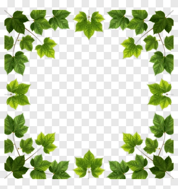 Green Leaf Frame PNG
