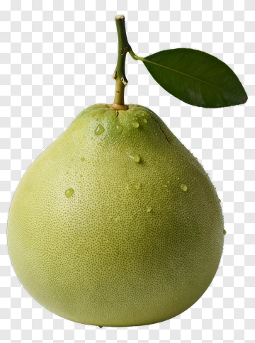 Pomelo Fruit With Leaf PNG