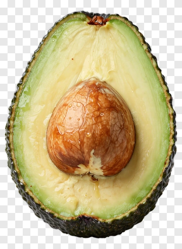 Avocado Halved With Seed PNG
