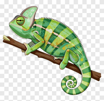 Colorful Chameleon On A Branch PNG