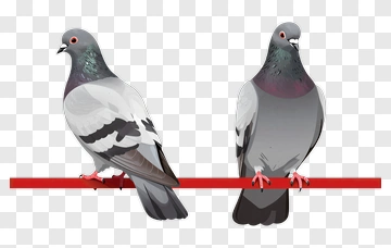Pigeon Sitting On A Red Bar PNG