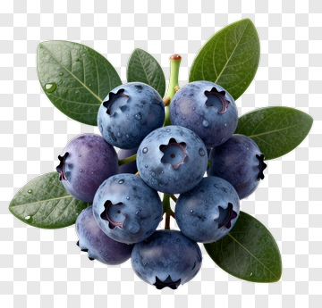 Fresh Blueberries With Leaves PNG