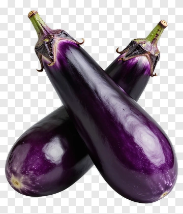 Fresh Eggplants PNG