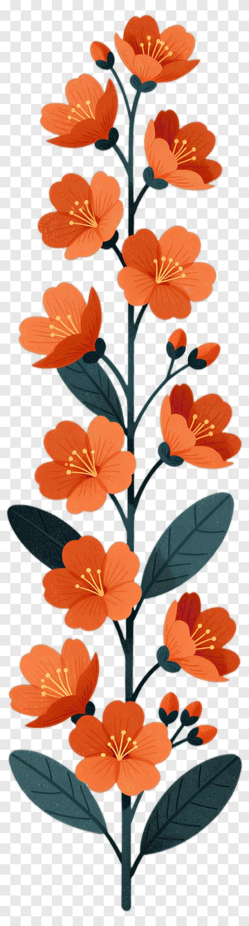 Colorful Floral Arrangement PNG