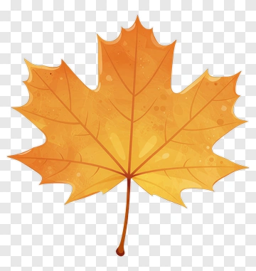 Colorful Maple Leaf PNG