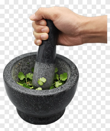 Hand Holding A Pestle In A Mortar With Cilantro Leaves PNG