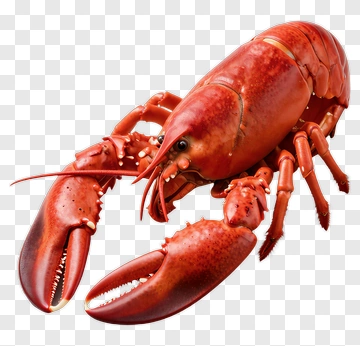 Realistic Red Lobster PNG