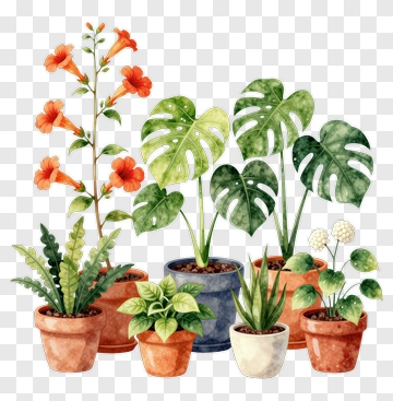 Colorful Potted Plants With Flowers PNG