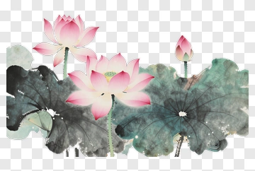 Watercolor Lotus Flowers With Leaves PNG