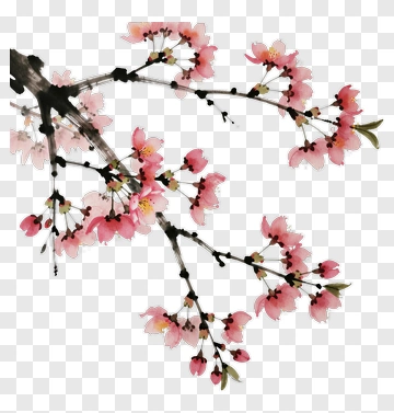 Cherry Blossom Branch PNG