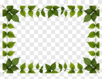 Green Leaf Border Frame PNG