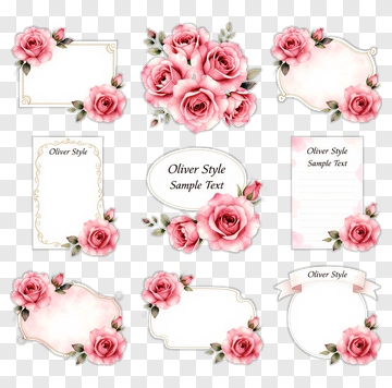 Rose Floral Frame Collection PNG