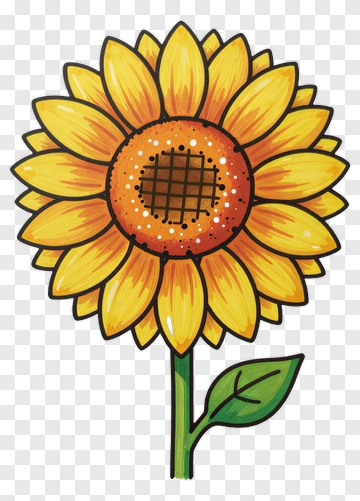 Colorful Sunflower PNG