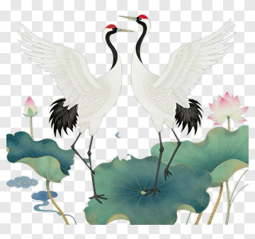Cranes Standing Among Lotus Flowers PNG