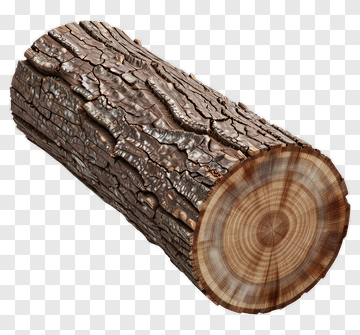 Wooden Log PNG