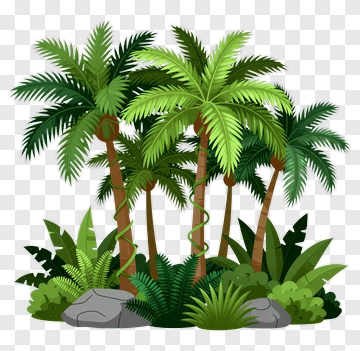 Tropical Palm Trees In A Lush Green Environment PNG