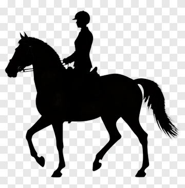 Silhouette Of A Horse Rider PNG
