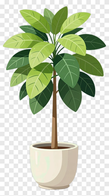 Potted Green Plant PNG