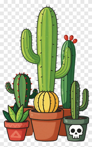 Colorful Cacti In Pots PNG
