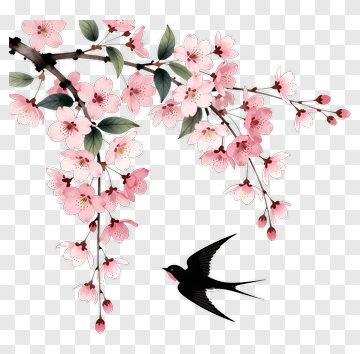 Cherry Blossom Branch With A Swallow PNG