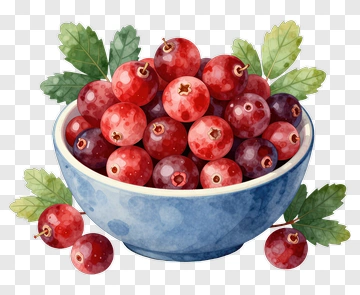 Watercolor Bowl Of Red Berries PNG