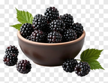 Bowl Of Fresh Blackberries PNG
