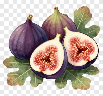 Figs On A Leafy Background PNG