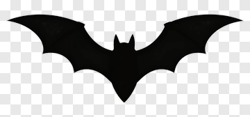 Black Bat Silhouette PNG