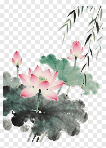 Lotus Flowers And Leaves PNG