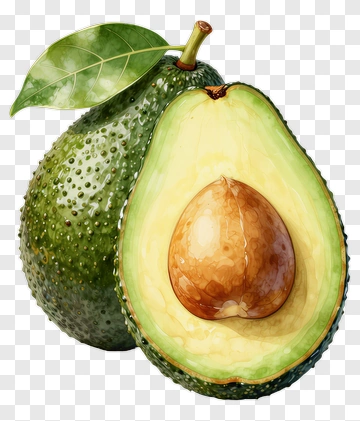 Ripe Avocado With A Seed PNG