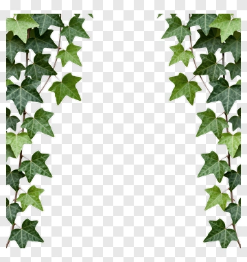 Green Ivy Leaves Border PNG