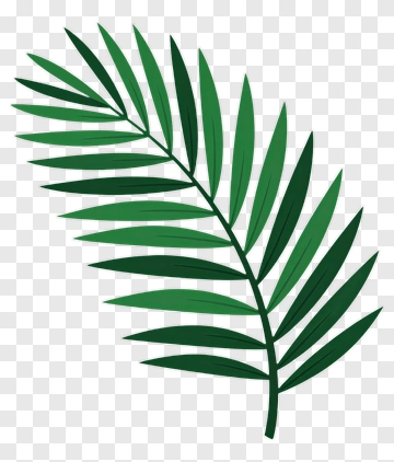 Green Palm Leaf PNG