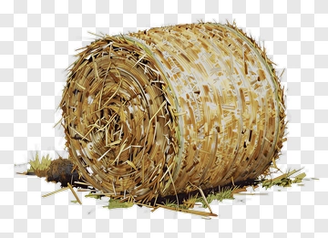 Hay Bale PNG