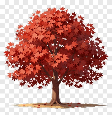 Colorful Maple Tree With Red Leaves PNG