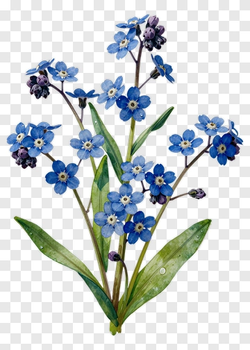 Watercolor Blue Flower Bouquet PNG