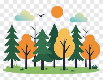 Colorful Forest With Trees And Sun PNG