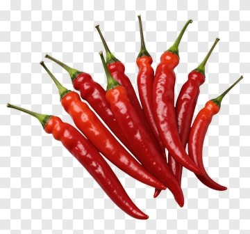 Red Chili Peppers PNG