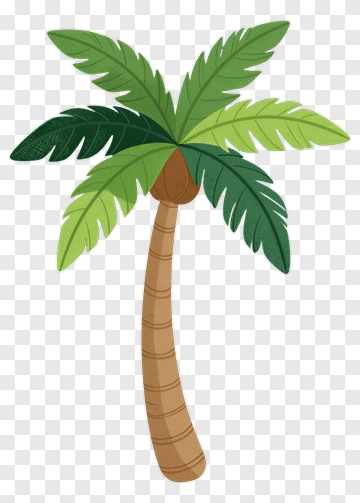 Cartoon Palm Tree PNG