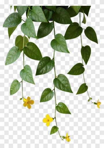 Hanging Green Plant With Yellow Flowers PNG