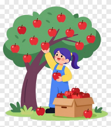 Girl Picking Apples From A Tree PNG