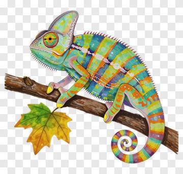 Colorful Chameleon On A Branch PNG