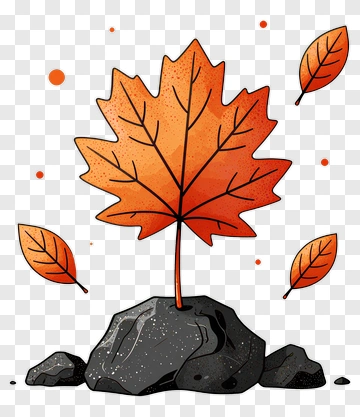 Colorful Maple Leaf Growing From A Rock PNG