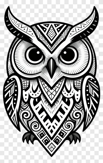 Black And White Owl With Intricate Patterns PNG