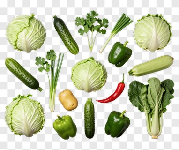 Fresh Vegetable Arrangement With Cabbage And Cucumbers PNG