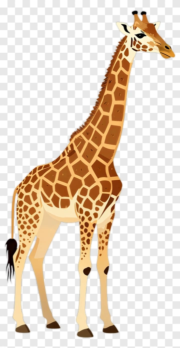 Cartoon Giraffe Standing Tall PNG
