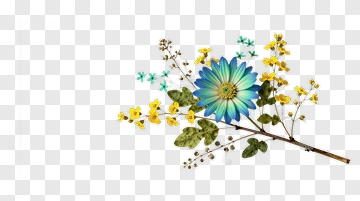 Colorful Floral Arrangement PNG