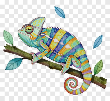 Colorful Chameleon On A Branch PNG